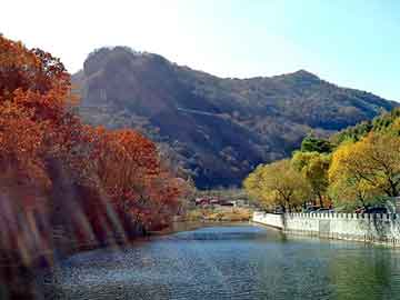 新澳门二四六天天彩，景泰seo外包